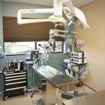 The Neurosurgery Suite